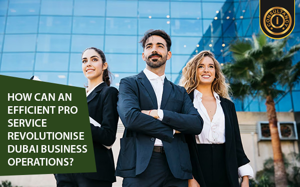 How Can an Efficient PRO Service Revolutionise Dubai Business Operations